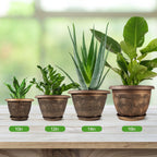 16 Inch Large Planter Pot for Plants Indoor Outdoor, 4 Pack Plastic Flower Pots with Drainage Hole & Tray, Modern Decorative Garden Pot with Saucer, Plant Container for House