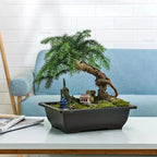 Rectangular Flowerpots Imitation Purple Clay Plants Pot Outdoor Garden Landscape Bonsai Pots for Plant Macetas Para Plantas